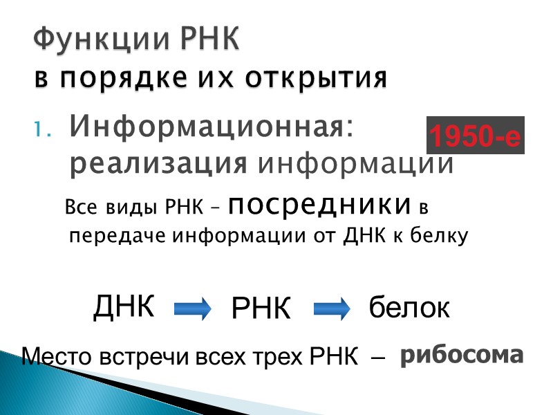 Информационная: реализация информации      Все виды РНК – посредники в